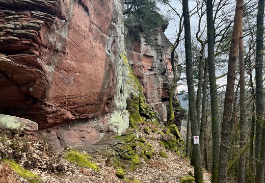 24-03-01 11-32-24 8862